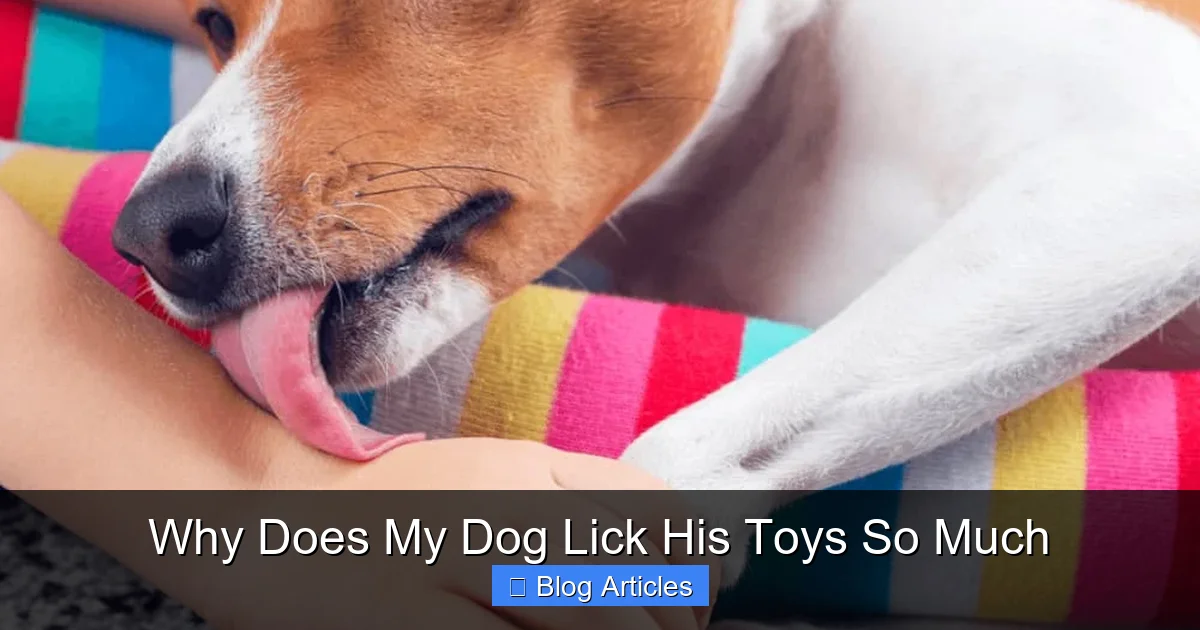 Why Does My Dog Lick His Toys So Much