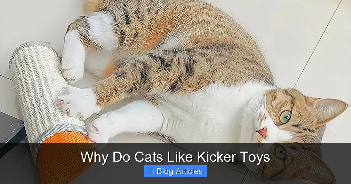 Why Do Cats Like Kicker Toys