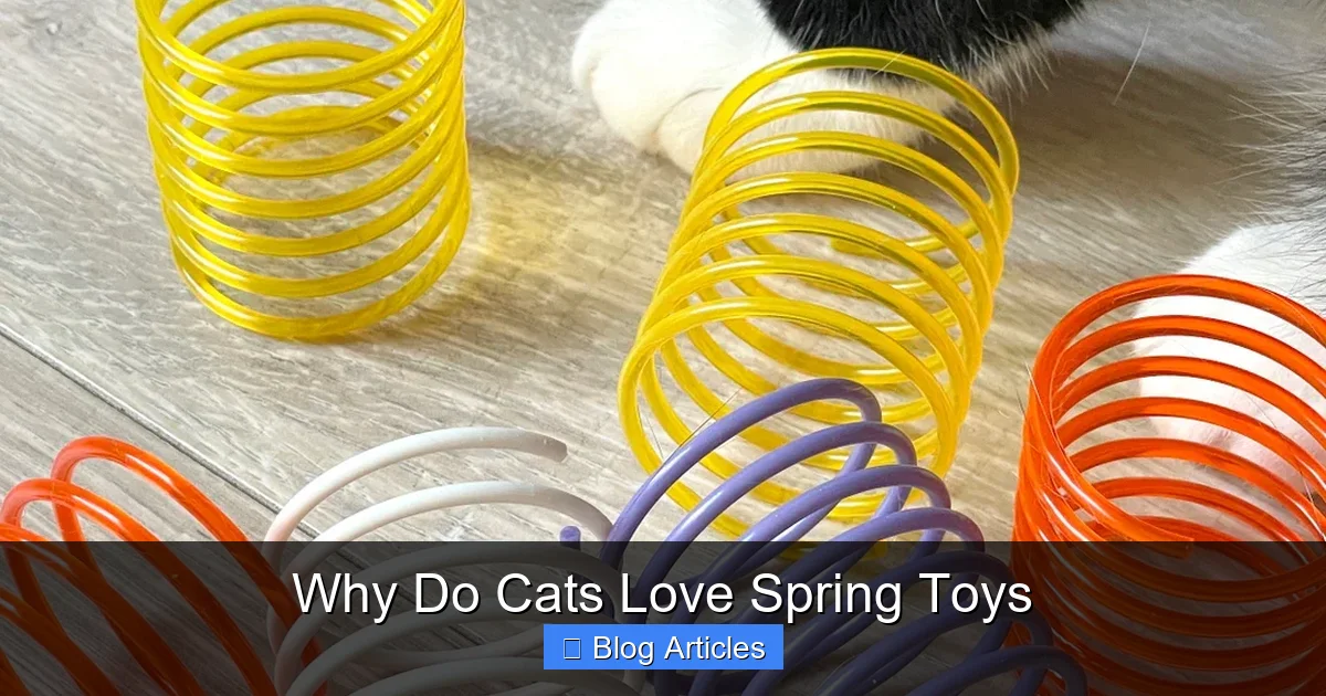 The Benefits of Active Play for Indoor Cats