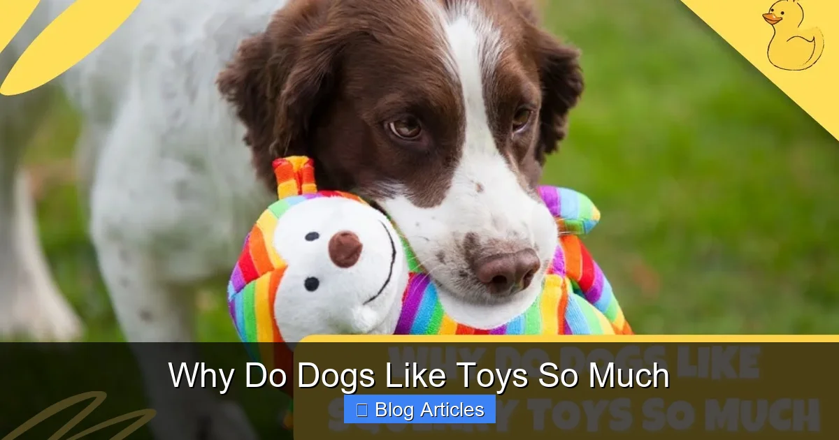 The Evolutionary Instincts Behind Play