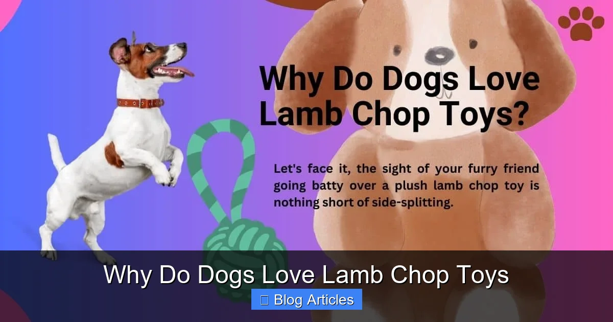 Why Owners Love the Lamb Chop Too