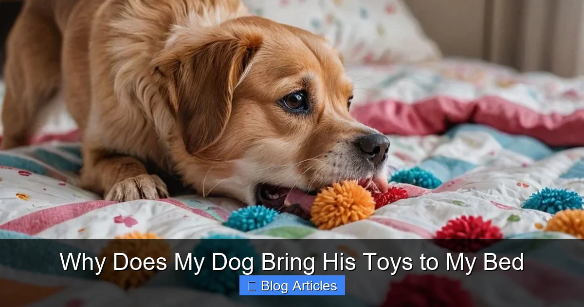 Is It a Request for Play