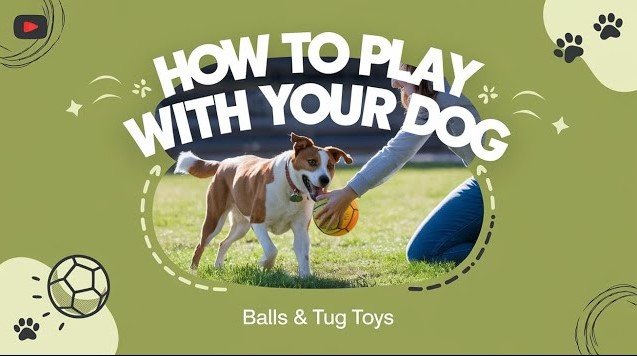 How to Play with Your Dog Without Toys