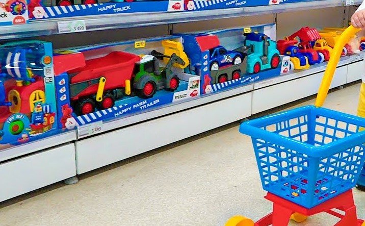How to Start a Toy Shop