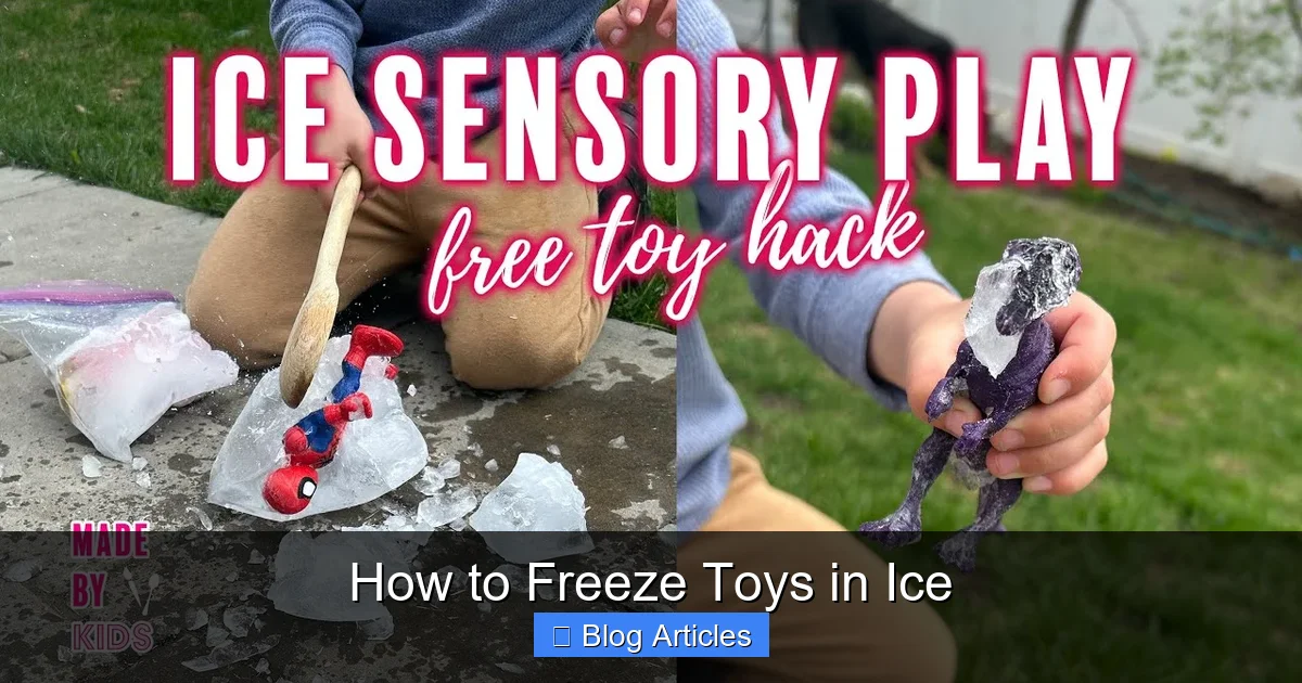 The Step-by-Step Freezing Process