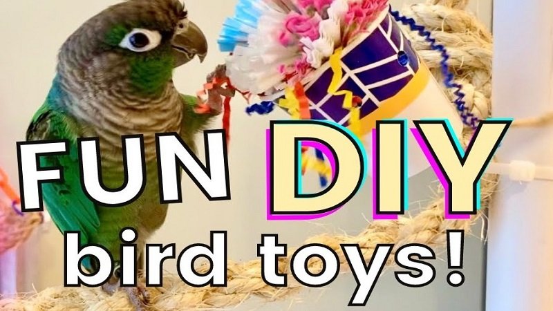 how to make bird toys out of household items