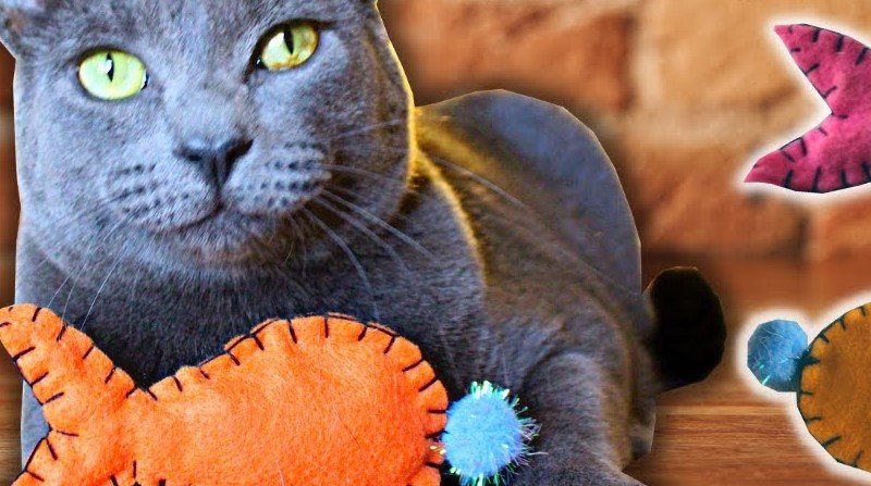 how to make catnip toys for cats