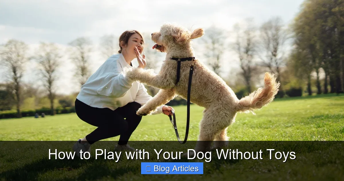 How to Play with Your Dog Without Toys