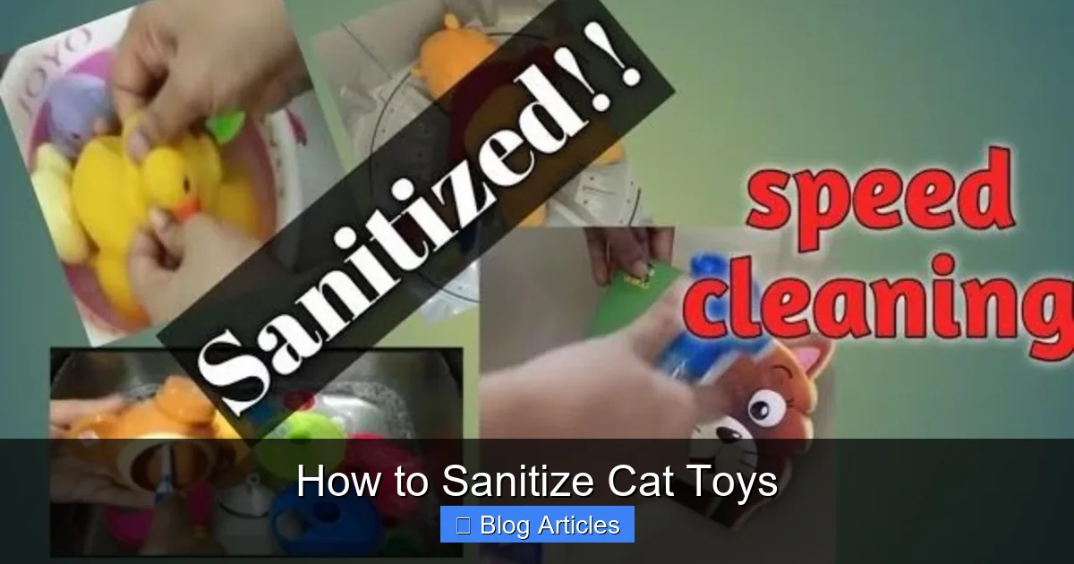 How to Sanitize Cat Toys