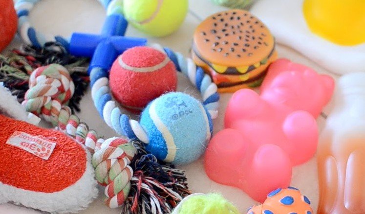 how to sanitize cat toys