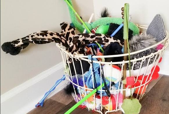 how to store cat toys