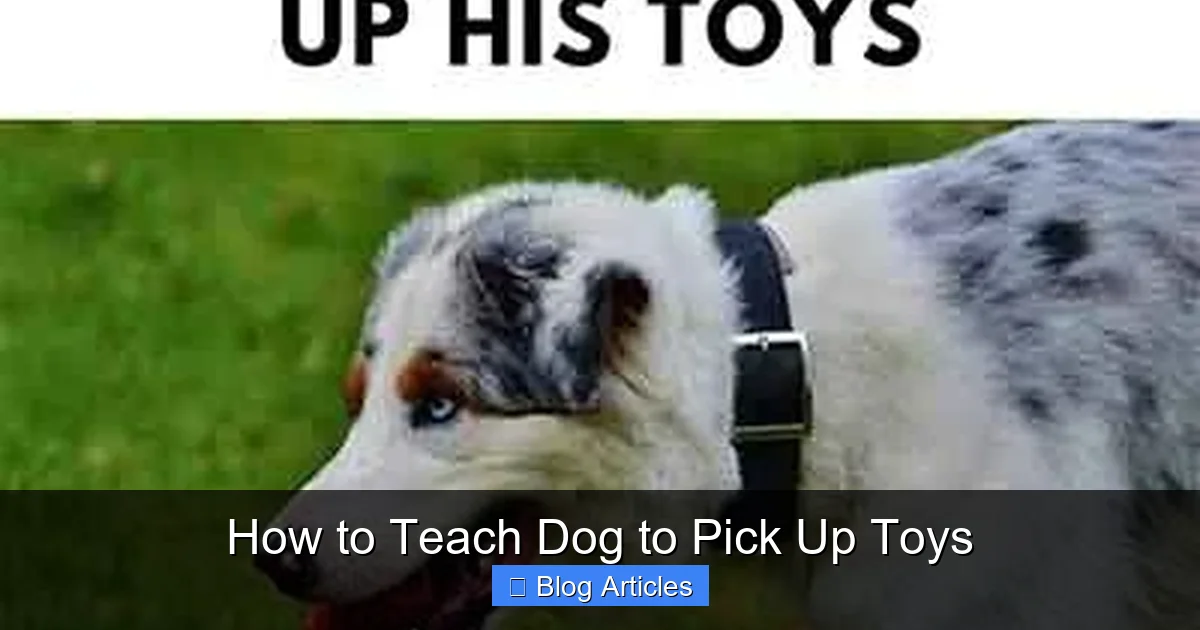 the Basics of Canine Learning