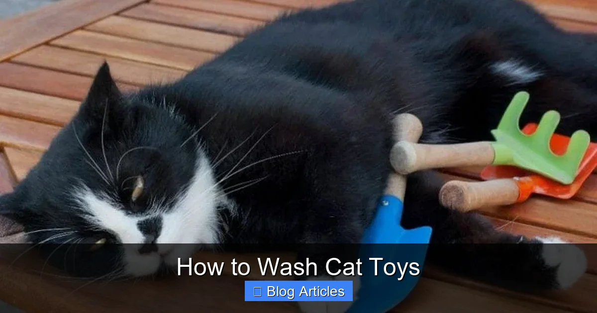 Cleaning Hard Plastic and Rubber Toys