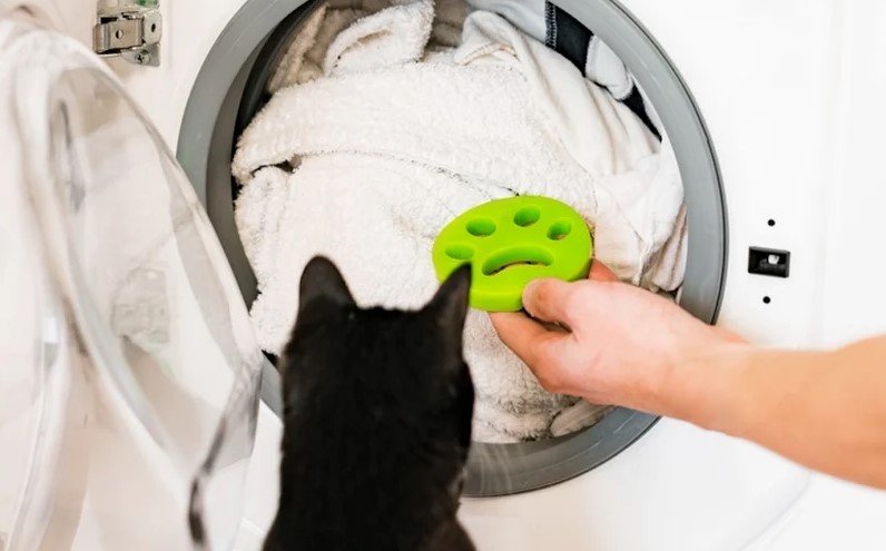 how to wash cat toys