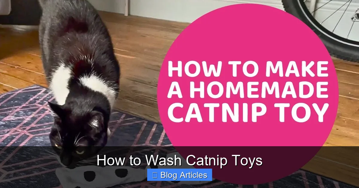 The Gentle Art of Spot Cleaning